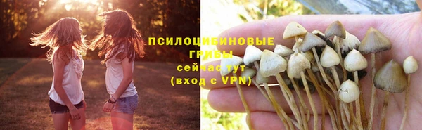гашиш Алексин