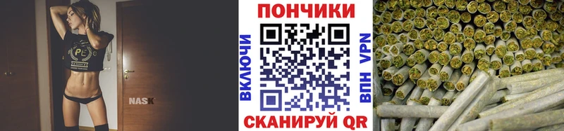 ОМГ ОМГ ссылки  Лермонтов  Канабис гибрид 